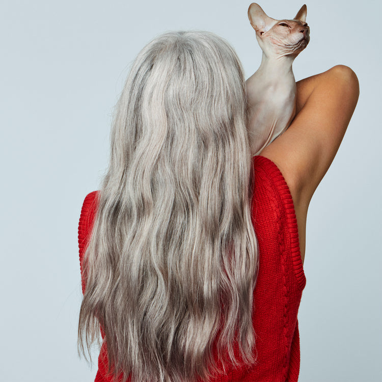 Fade To Grey Shampoo And Conditioner