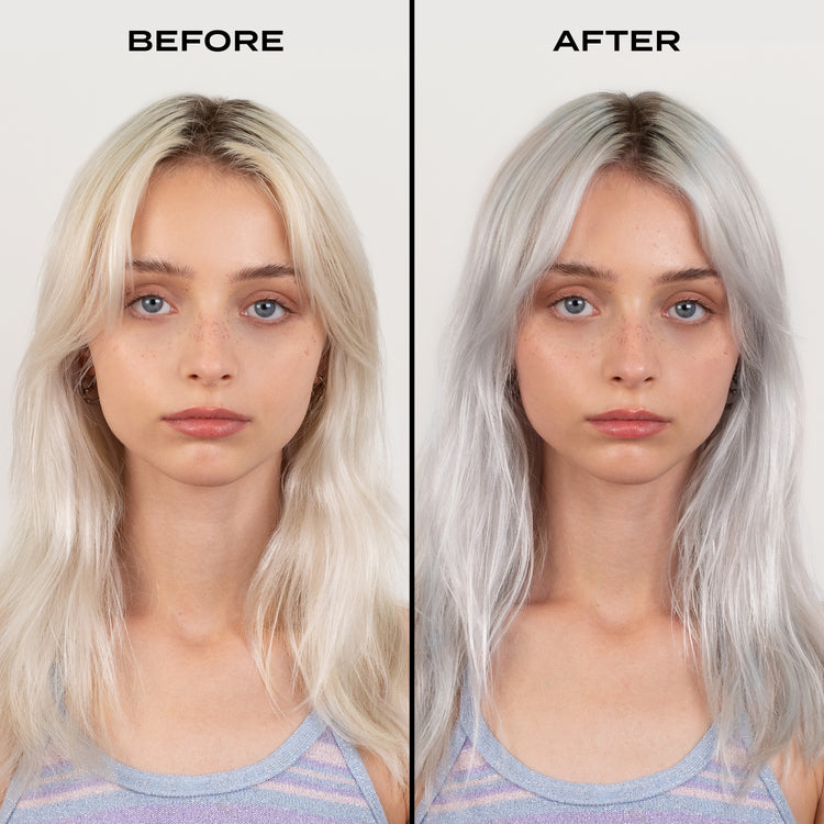 Silver Shampoo And Conditioner XL