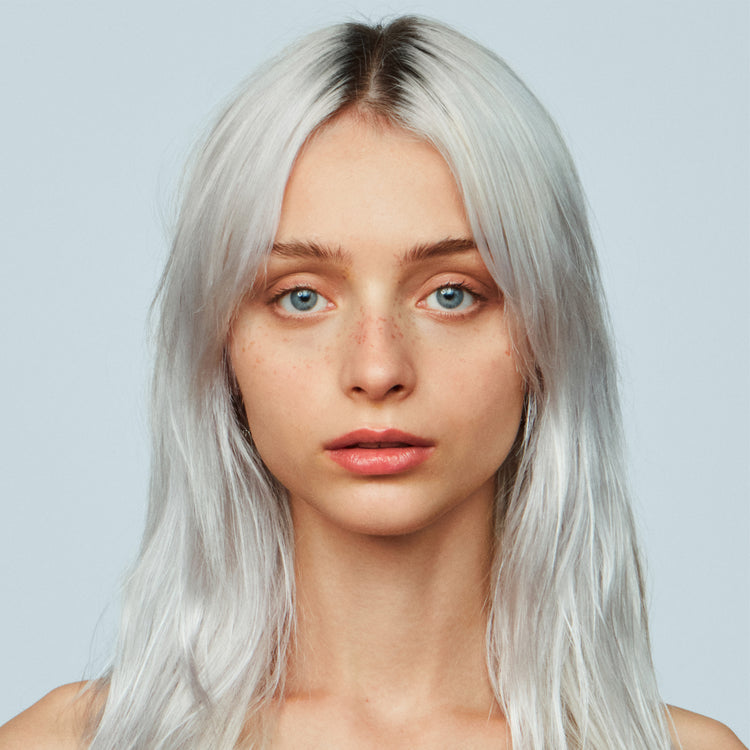 Silver Shampoo And Conditioner XL