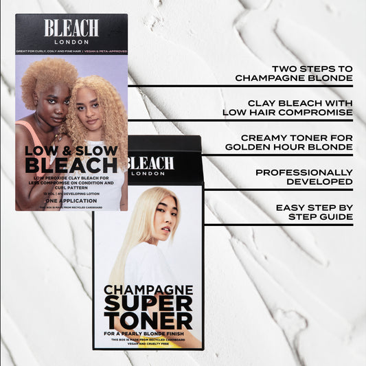 Warm Blonde Base Set with Low & Slow Bleach
