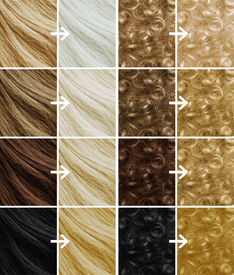 Pro Blonde Platinum Kit
