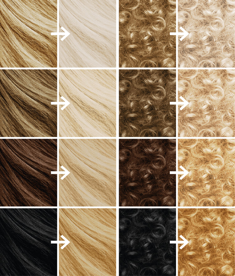 Pro Blonde Vanilla Kit