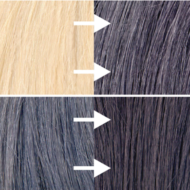 Fade To Grey Shampoo And Conditioner